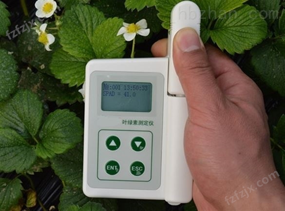 植物水势测定仪价格