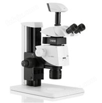 M125 立体显微镜