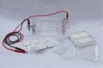 DYCP-31DN型 琼脂糖水平电泳仪（注）